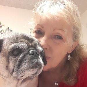 Meet your Posher, Jan